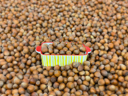 In-Shell Hazelnuts